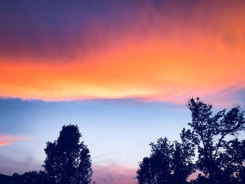 Low angle view of silhouette trees against sky during sunset
