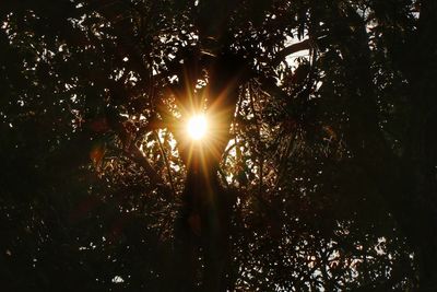 Low angle view of silhouette trees against sky at sunset