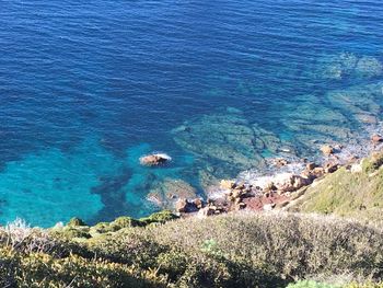 High angle view of birds in sea