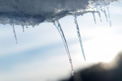 Close-up of frozen water drops on spider web