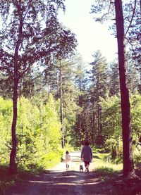 Rear view of people walking in forest