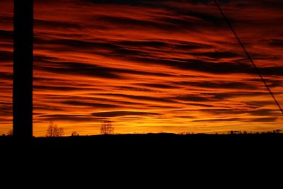 Silhouette trees against orange sky