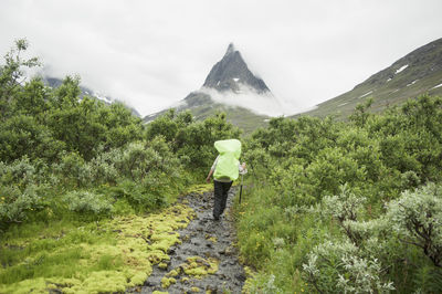 Rear view of man on mountain against sky