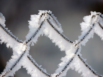 A closeup shot of a chain-link fence covered with frost in a cold winter day with blue background