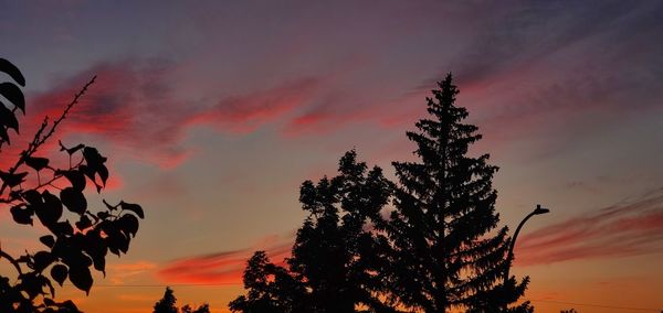 Low angle view of silhouette tree against sky during sunset