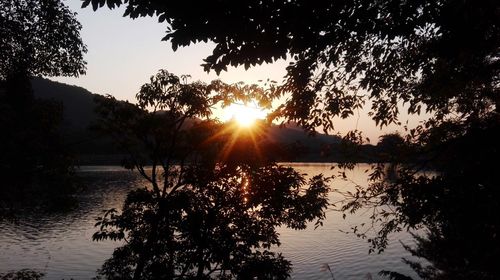 Silhouette trees by lake against sky during sunset