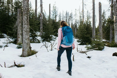 Hiking outdoors. a young woman tourist with a backpack walks through the forest and enjoys nature. 