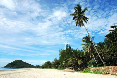 Scenic view of palm trees on beach against sky