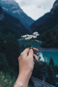 Close-up of hand holding flowers