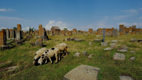 View of an old ruins