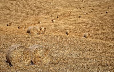 Hay bales on field