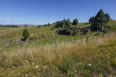 Scenic view of land against clear sky