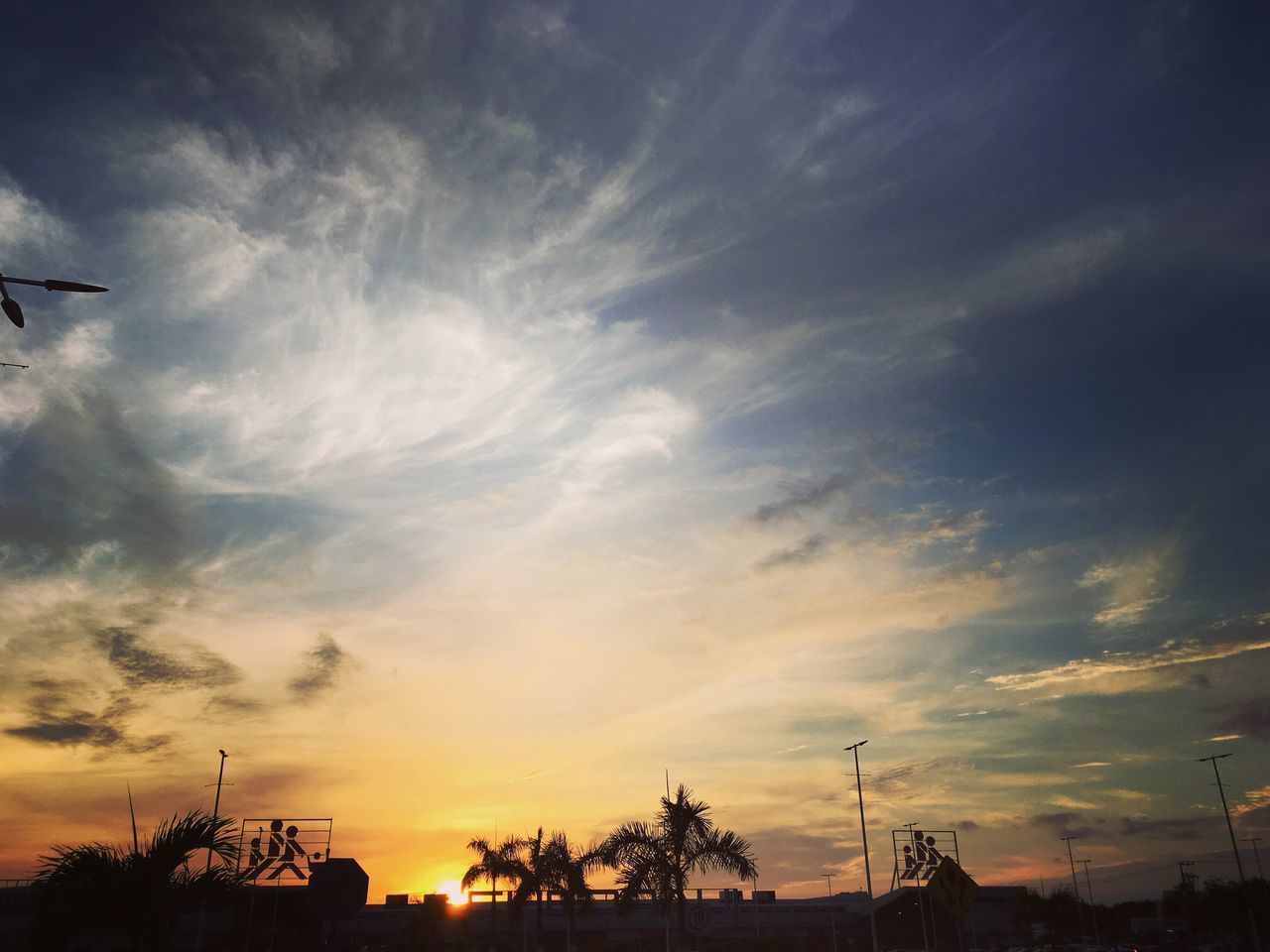 LOW ANGLE VIEW OF SILHOUETTE TREES AGAINST SUNSET SKY