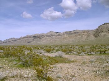 Scenic view of desert against sky