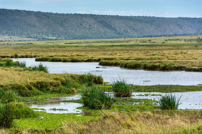Scenic view of lake