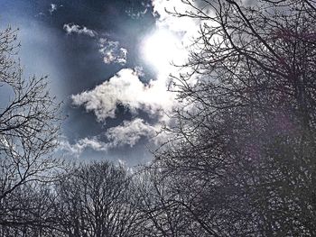 Silhouette of trees against cloudy sky