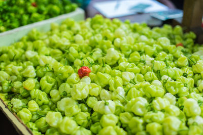 Close-up of vegetables for sale in market