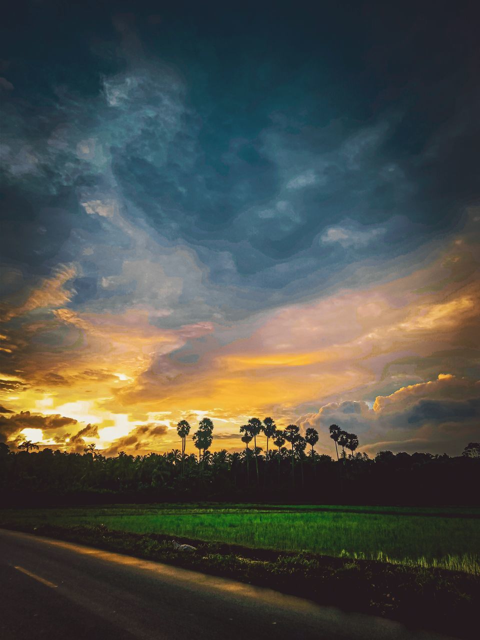 sky, cloud, landscape, environment, horizon, sunset, beauty in nature, nature, plant, scenics - nature, field, land, rural scene, no people, tranquility, dawn, tranquil scene, tree, road, evening, agriculture, sunlight, dramatic sky, outdoors, afterglow, grass, idyllic, transportation, non-urban scene, crop
