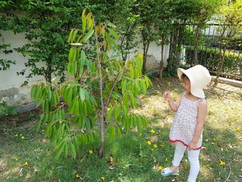 Rear view of girl standing by plants