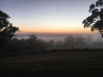 Silhouette trees on field against sky during sunset