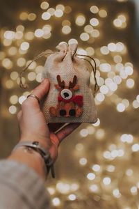 Midsection of person holding illuminated christmas tree