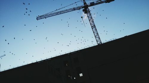 Low angle view of silhouette birds flying against sky