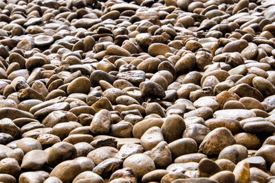 The texture of river stone in the walkway