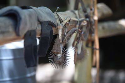 Close-up of metal hanging