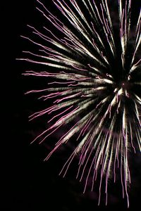 Low angle view of firework display at night