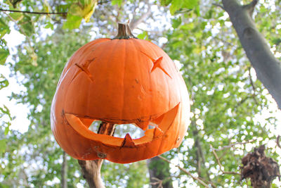 Floating pumpkin in the woods 