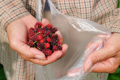 Midsection of woman holding strawberry