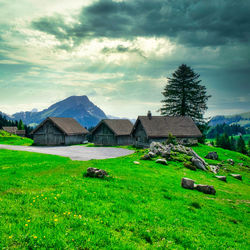 Houses on field against sky