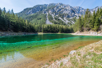 Scenic view of lake