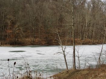 Scenic view of lake in forest during winter