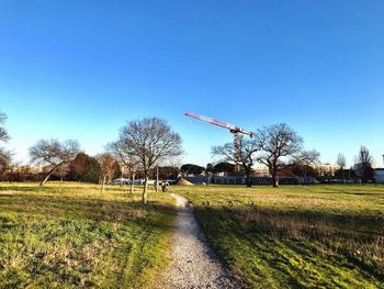 Trees on field against clear blue sky