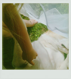 Close-up of cat relaxing on the wall