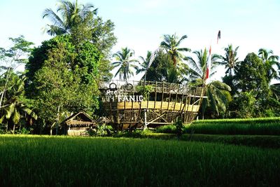 Scenic view of farm against sky