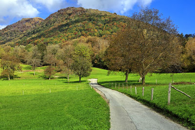 Road amidst trees on field against sky