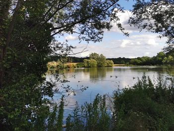 Scenic view of lake against sky