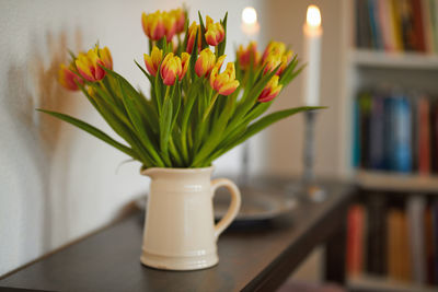 Close-up of potted plant on table