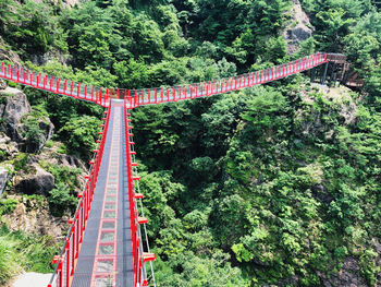 High angle view of railroad bridge in forest