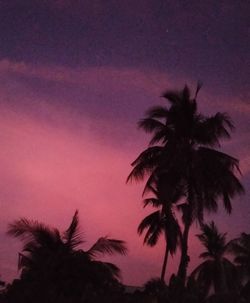 Low angle view of silhouette palm trees against sky at sunset