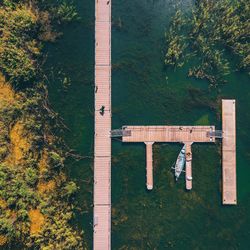 Aerial view of jetty over lake amidst trees