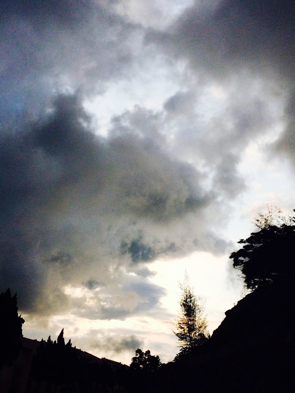 sky, silhouette, low angle view, cloud - sky, tree, cloudy, beauty in nature, tranquility, scenics, cloud, nature, tranquil scene, weather, dusk, overcast, outdoors, no people, high section, dramatic sky, storm cloud