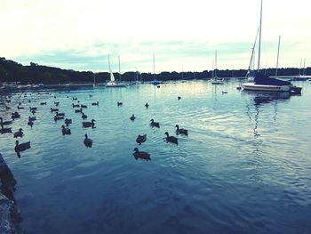 View of boats in water