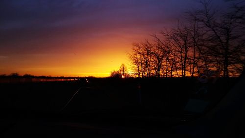 Silhouette of bare trees at sunset