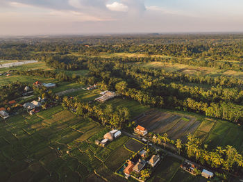 High angle view of agricultural field against sky