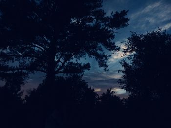 Low angle view of silhouette trees against sky at night