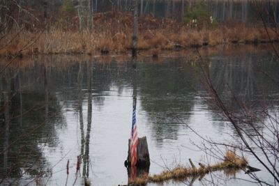 Scenic view of lake