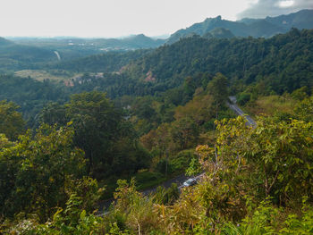 Scenic view of trees and mountains against sky